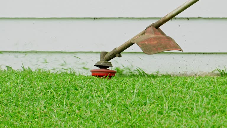 Artificial Turf Installation in West End Cobb Town, AL