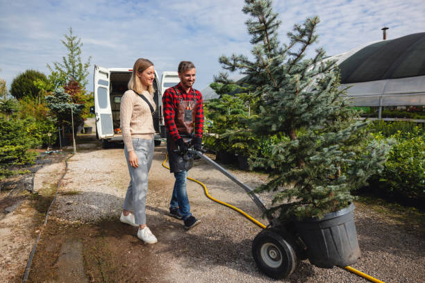 How Our Tree Care Process Works  in  West End Cobb Town, AL